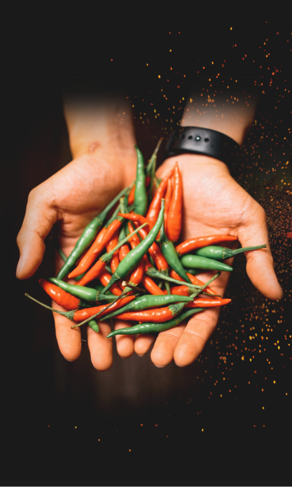 FarmtoTable2 E1764299182523